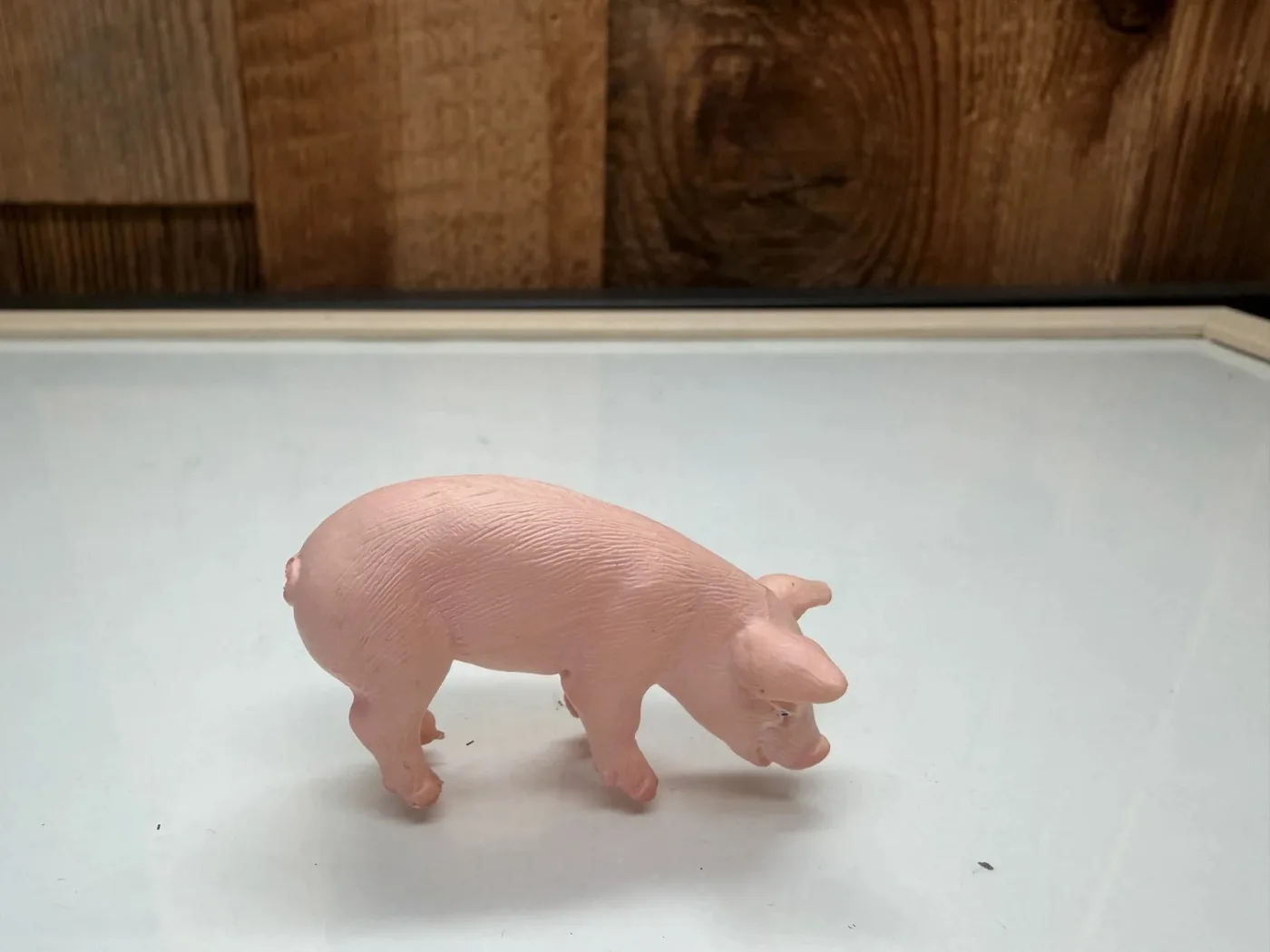 Schleich Farm World Biggetje Etend (13290)