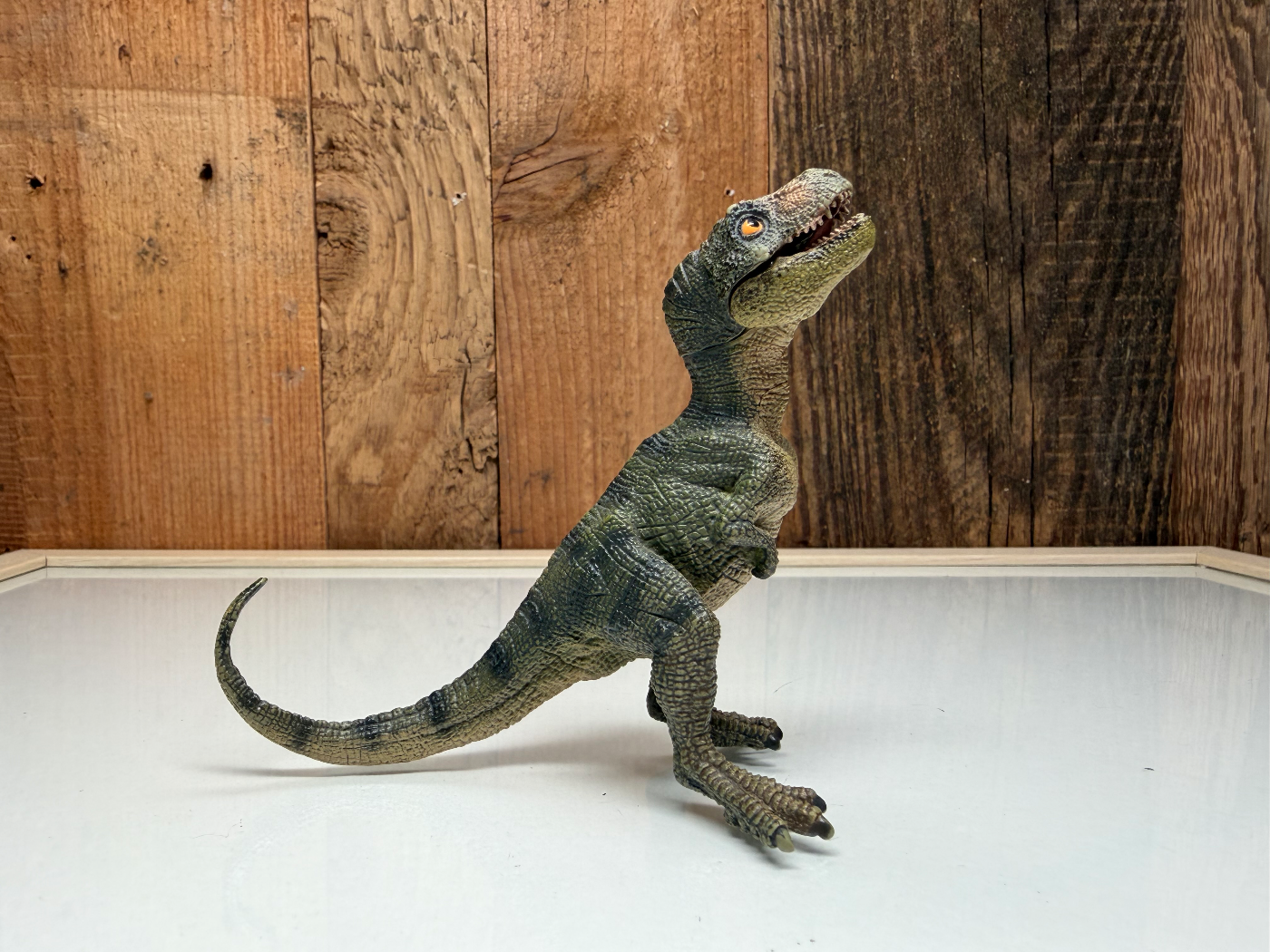 Papo T-Rex Baby