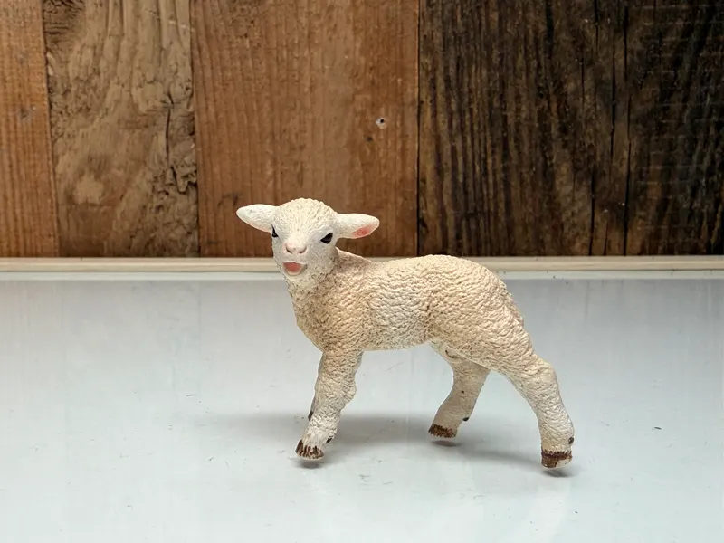 Schleich Farm World Lammetje (13883)