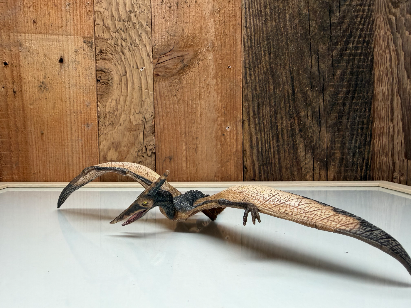 Papo Dinosaurs Pteranodon (55006)