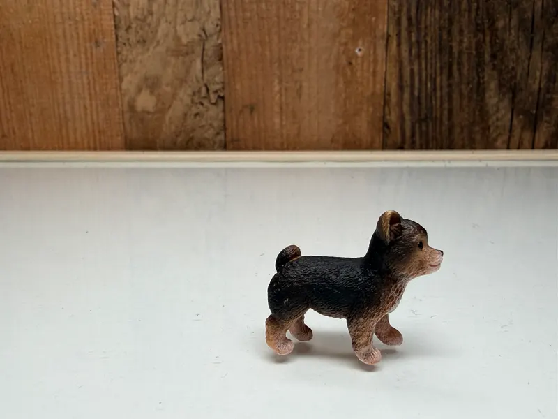 Schleich Farm World Shih Tzu Pup (42480)