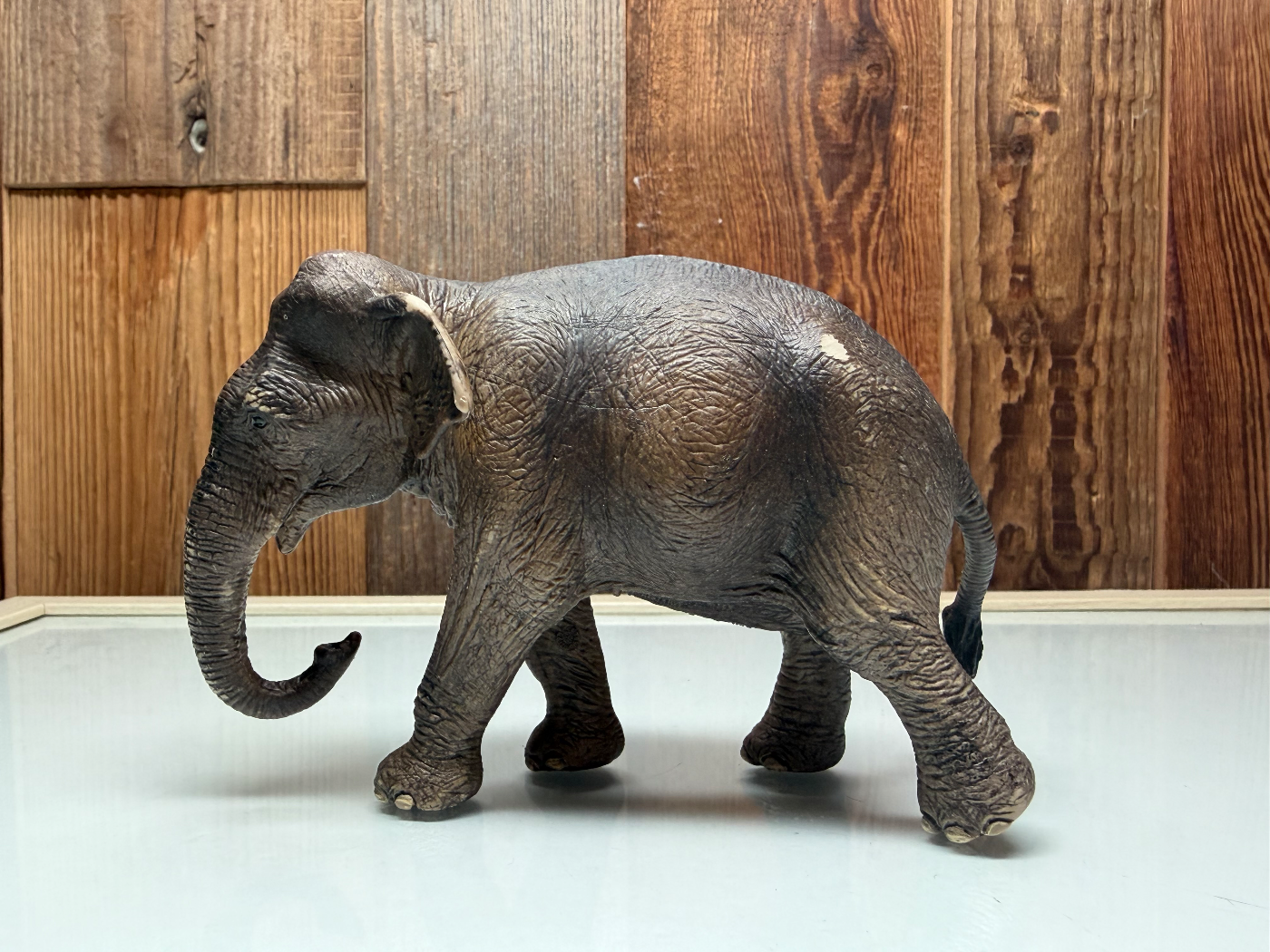 Schleich Aziatische Olifant Vrouwtje