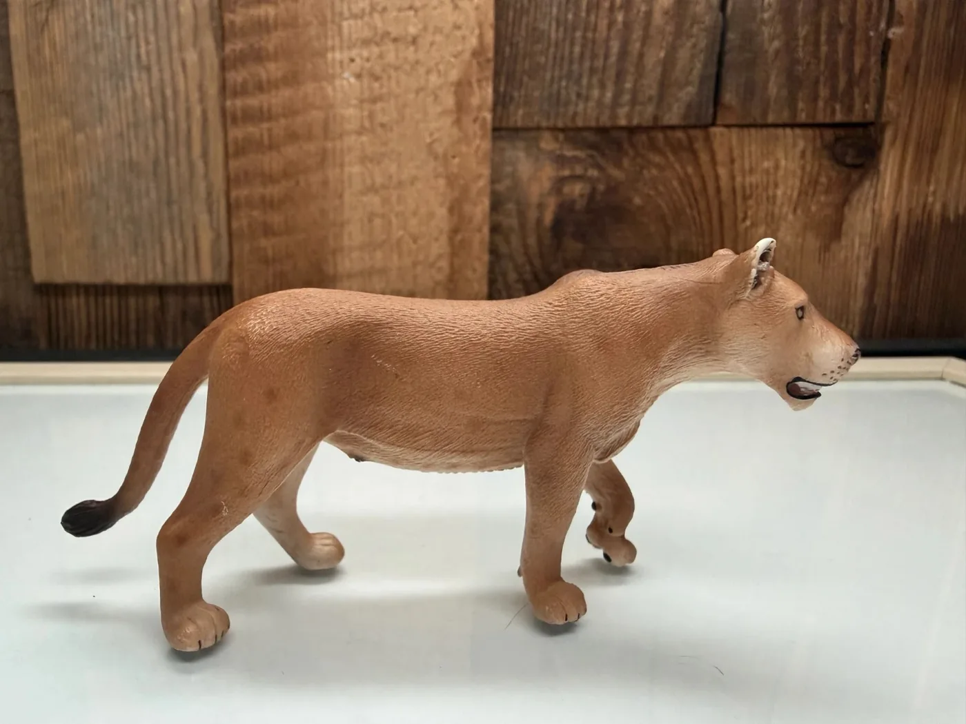 Mojo Wild Life Leeuwin (387175)