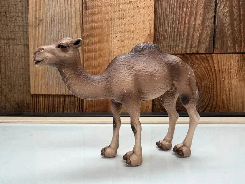 Schleich Dromadaire