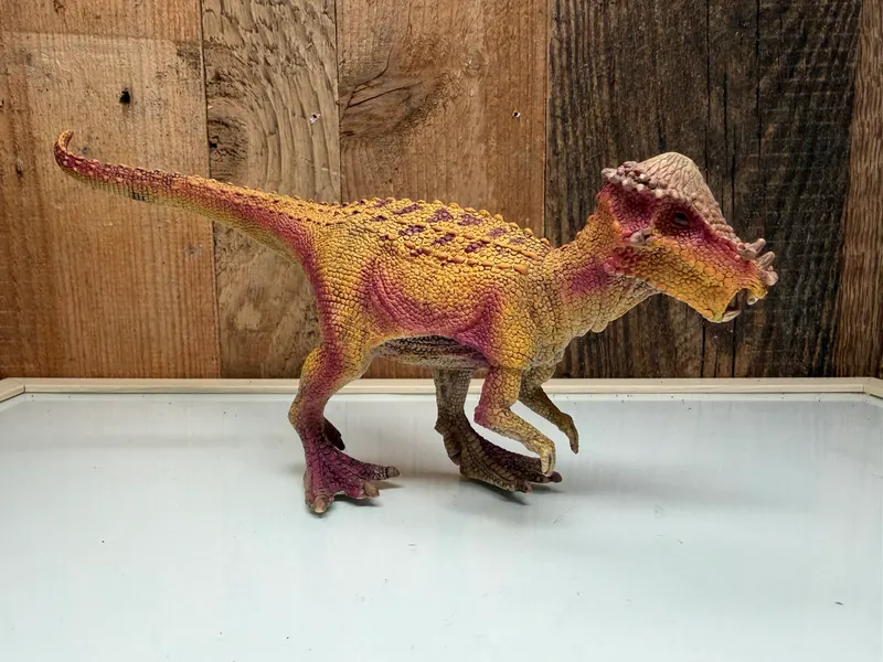 Schleich Dinosaurs Pachycephalosaurus (15024)