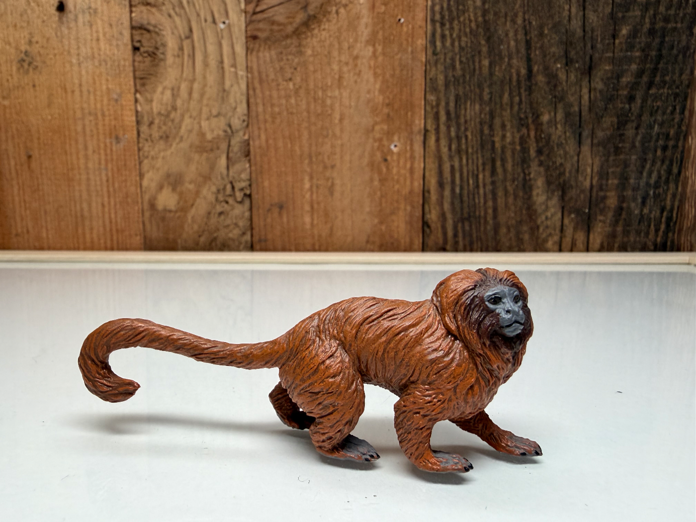 Papo Wild Life Gouden Leeuwaapje (50227)