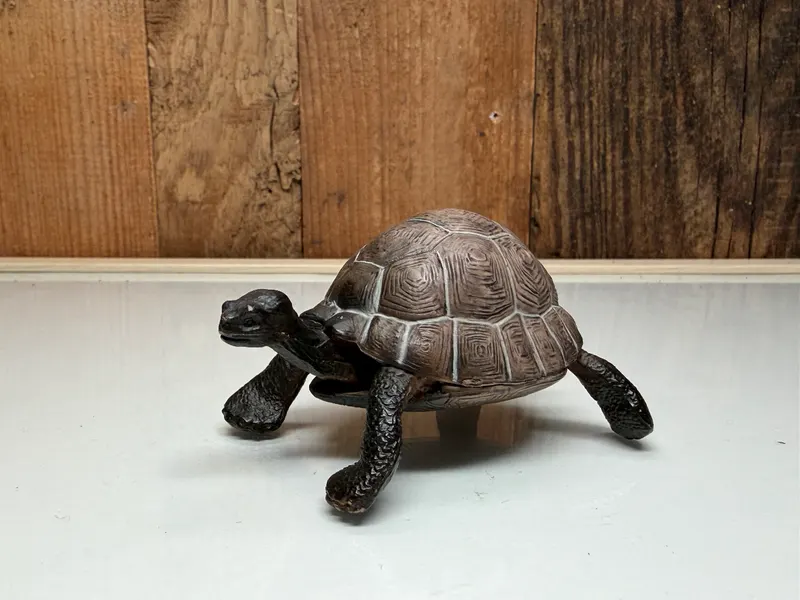 Merk Merk Schildpad