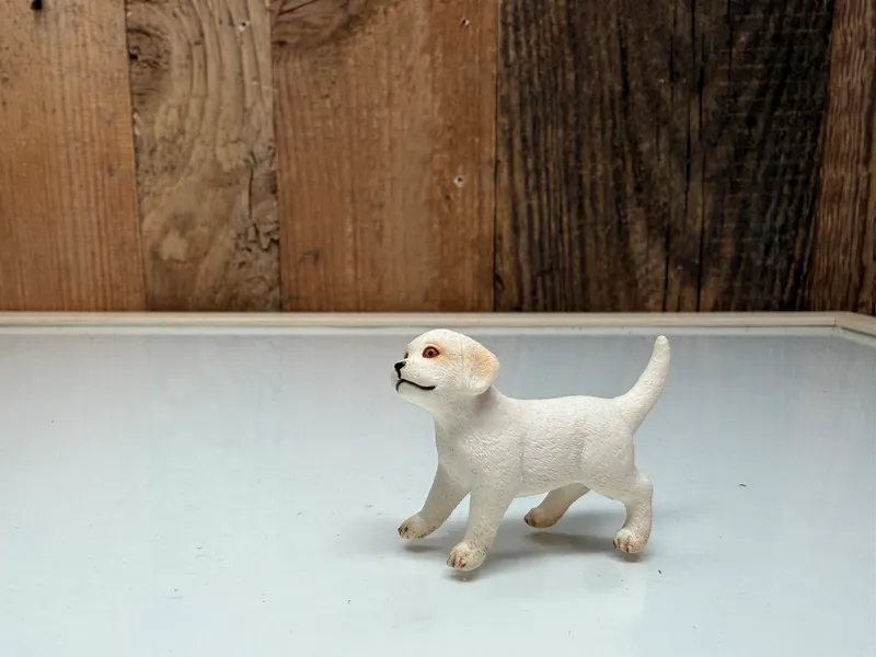 Schleich Farm World Shih Tzu Pup (42480)