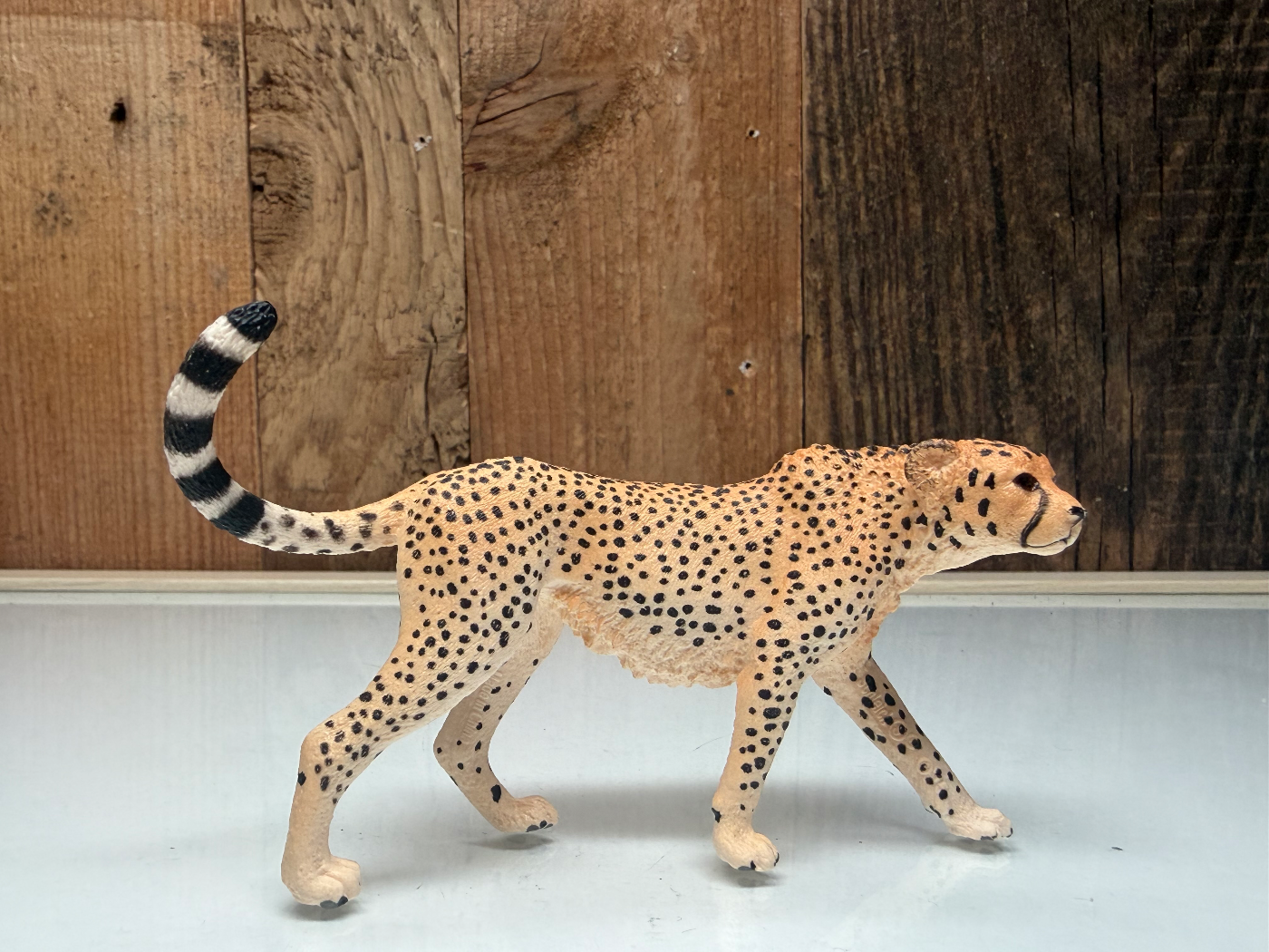 Schleich Cheetah
