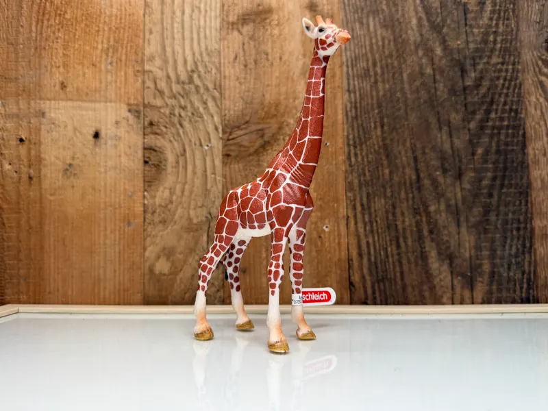 Schleich Wild Life Giraffe Vrouw (14750)