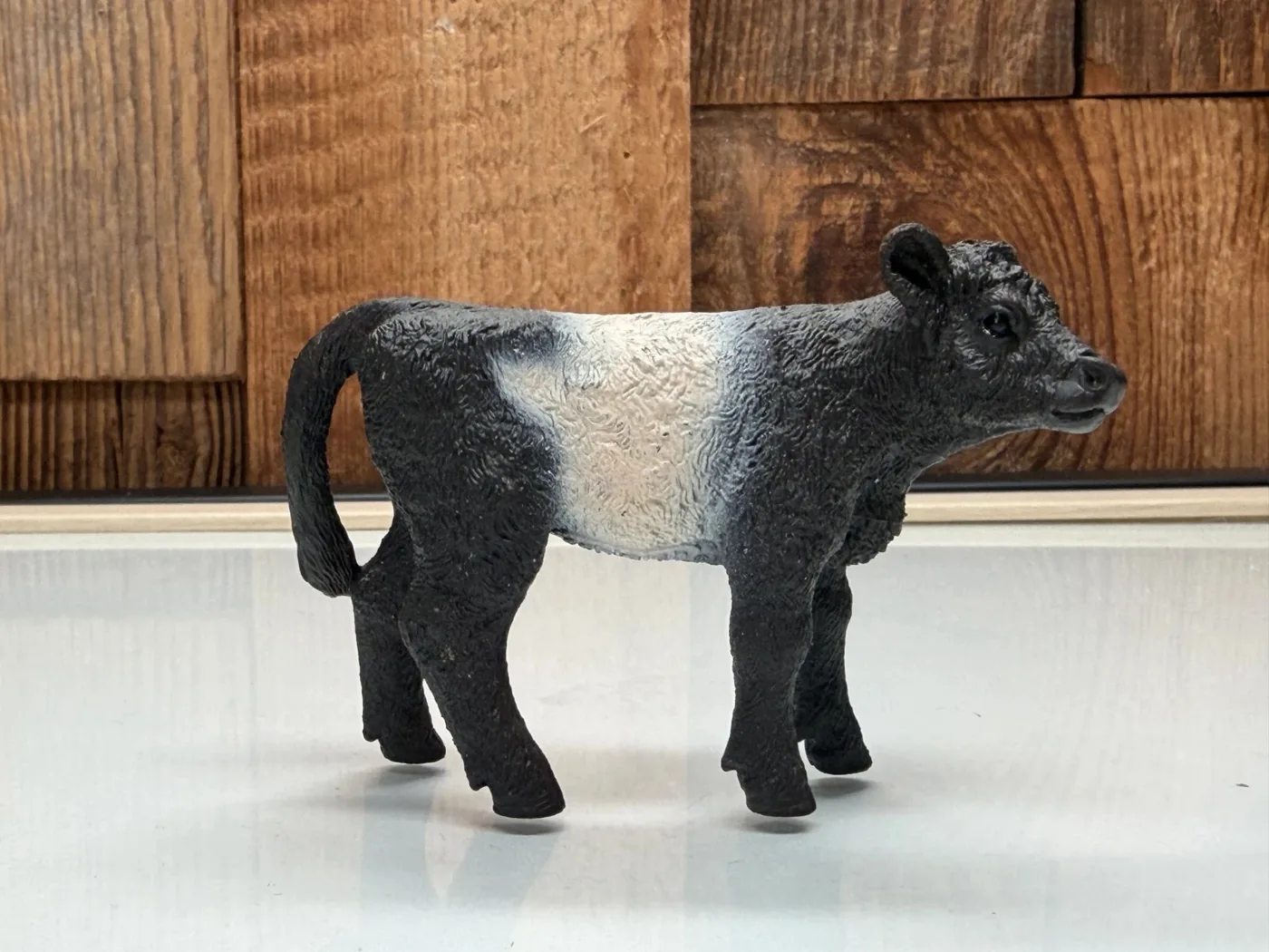 Schleich Galloway Kalf