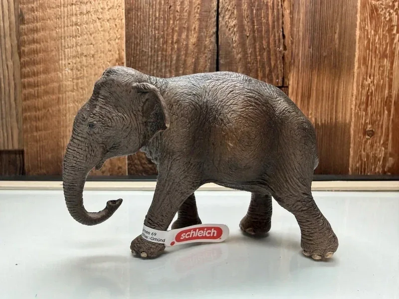 Schleich Aziatische Olifant Vrouwtje
