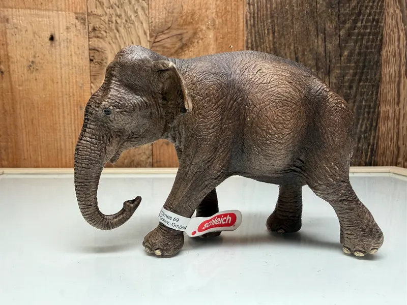 Schleich Wild Life Aziatische Olifant Vrouwtje (14753)