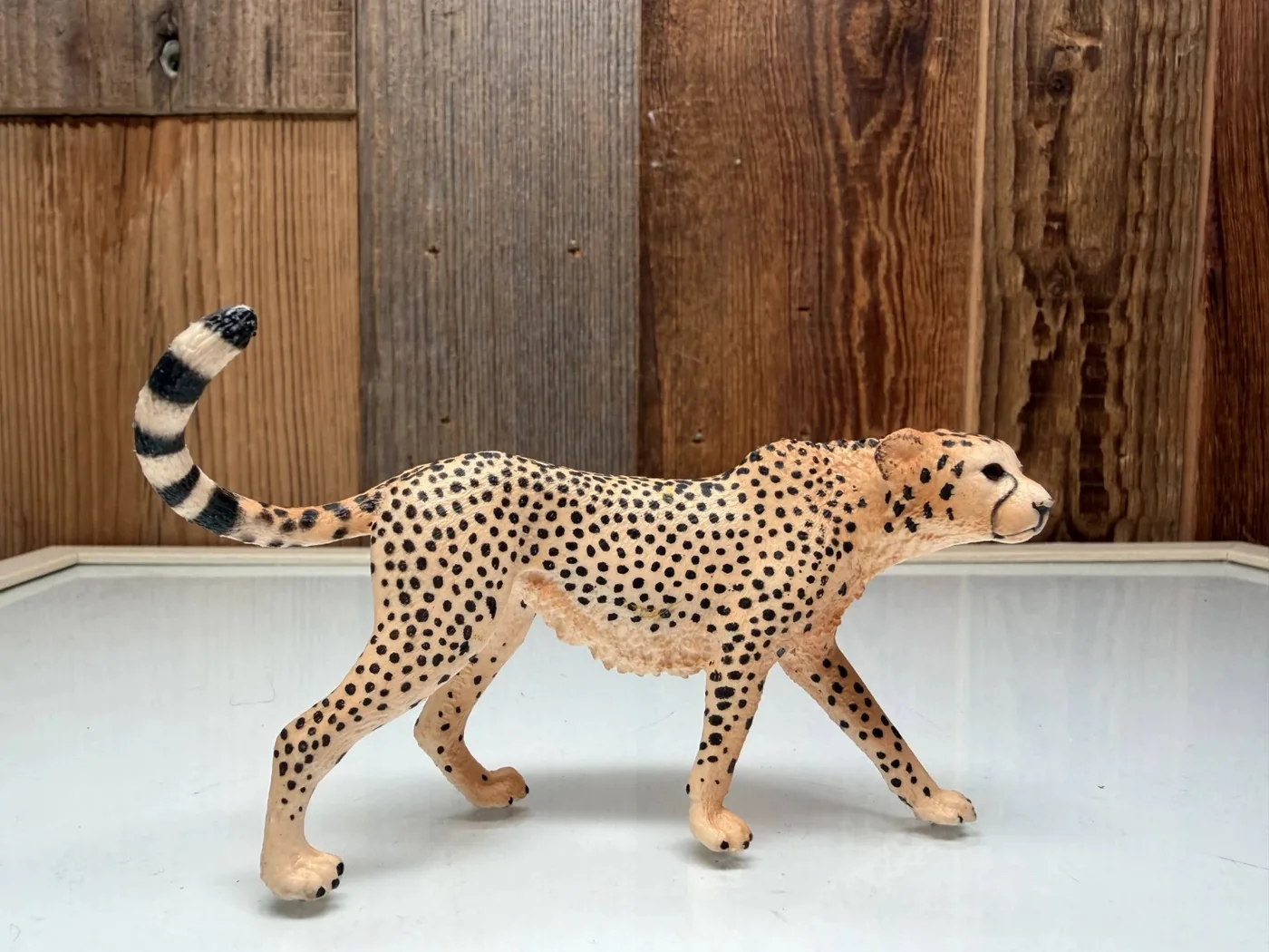 Schleich Cheetah