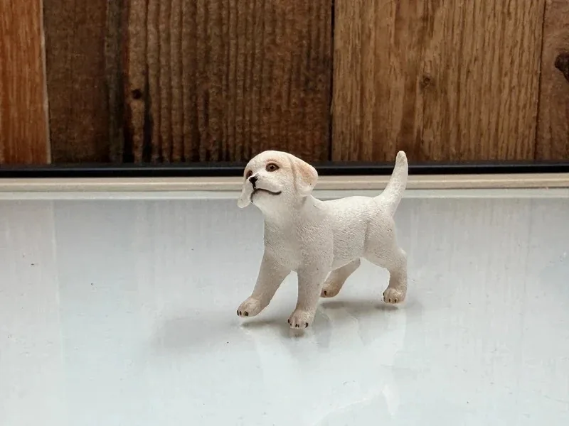 Schleich Farm World Shih Tzu Pup (42480)